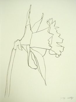 Ellsworth Kelly, Daffodil, One color lithograph, 31 1/8 x 29 in. (79.1 x 73.7 cm), Collection of the UCLA Grunwald Center for the Graphic Arts, Hammer Museum,
Los Angeles, California; Gift of Gemini, G.E.L.