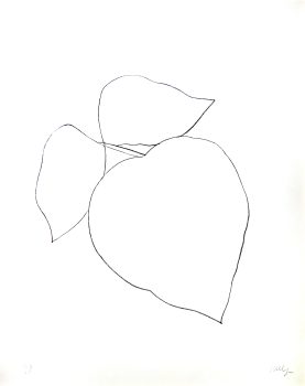 Ellsworth Kelly, Leaves, Lithograph, Overall: 38 × 30 3/4 × 1 1/2 in. (96.5 × 78.1 × 3.8 cm), Courtesy of the artist and the Foundation for Art and Preservation in Embassies, Washington, D.C.