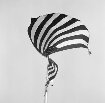 Terry LaRue, Flag in Bloom, Montana, Photograph, 24 × 20in. (61 × 50.8cm), Courtesy of the artist, Seattle, Washington