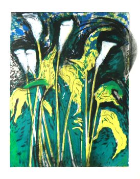 Jim Dine, Calla Lilies, Verona III, Lithograph, Overall: 35 3/4 x 30 x 2 1/2 in. (90.8 x 76.2 x 6.4 cm), Courtesy of Foundation for Art and Preservation in Embassies, Washington, D.C.