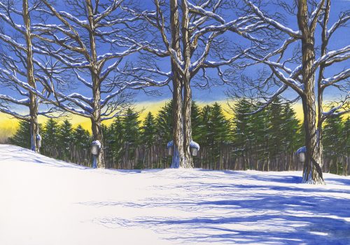 Barbara Ernst Prey, Fresh Snow, Watercolor and drybrush on paper, Overall: 44 x 56in. (111.8 x 142.2cm), Courtesy of the artist